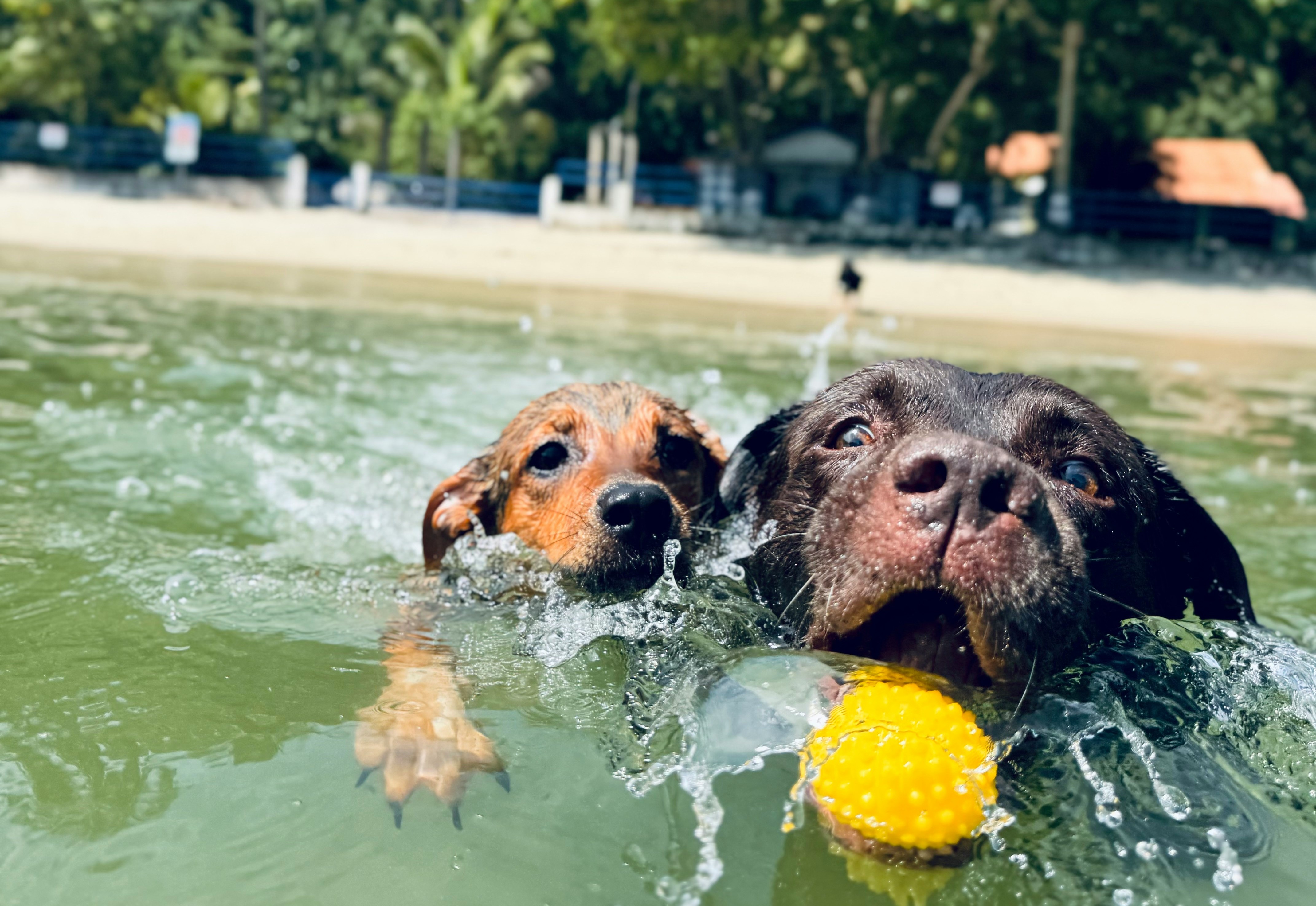 Foto di Marcelo Magalhaes su Unsplash
